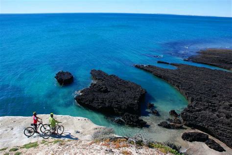 puerto madryn excursiones precio